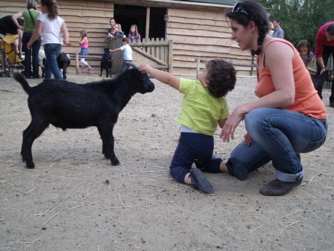 Aydan et Maud avec les biquettes auZoo la Boissière du dorée