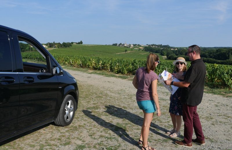 Personnes garées devant des vignes