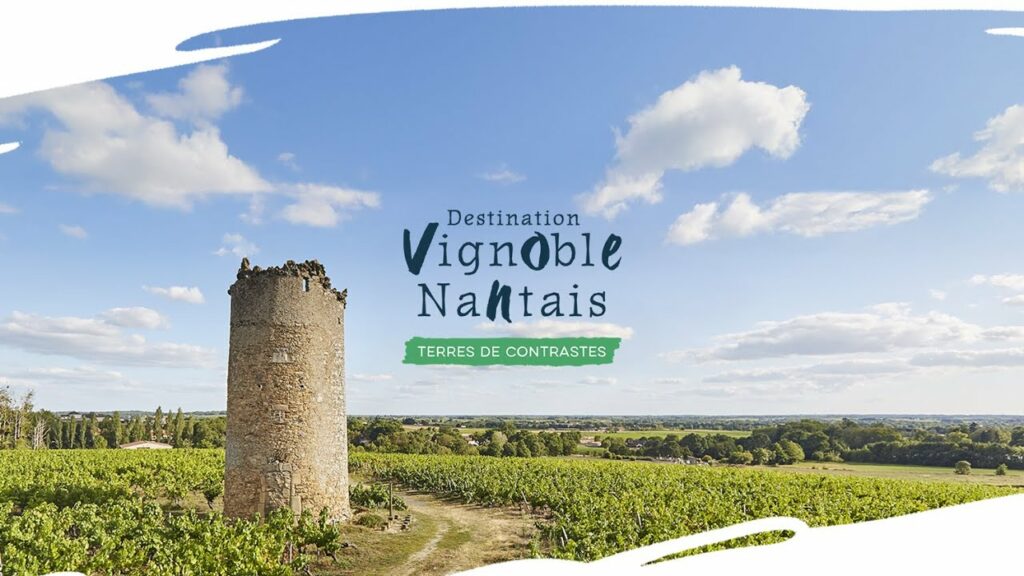 Photo du logo du vignoble nantais et un paysage de vignes